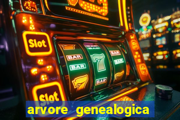 arvore genealogica dos gracie